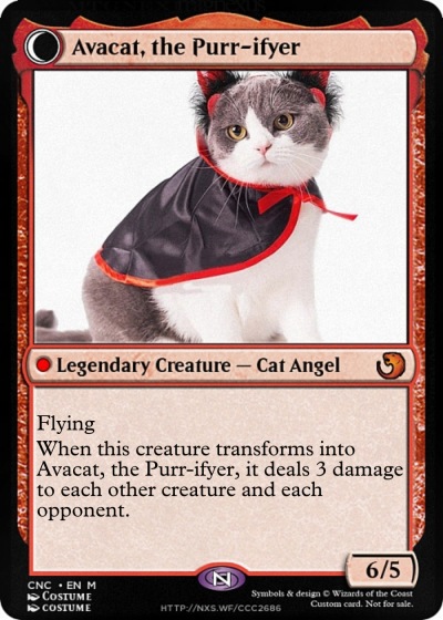 Avacat, the Purr-ifyer