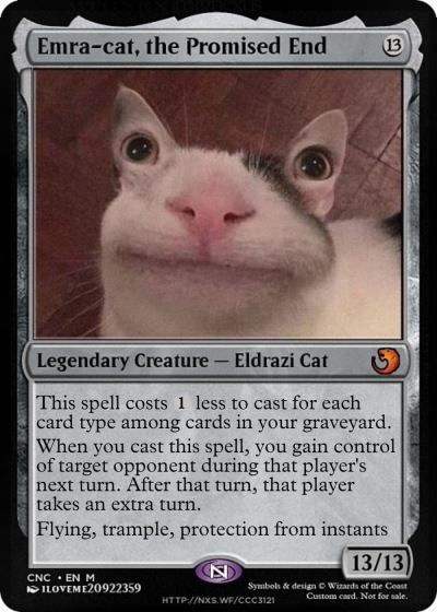 Emra-cat, the Promised End