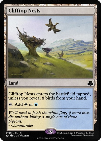 Clifftop Nests