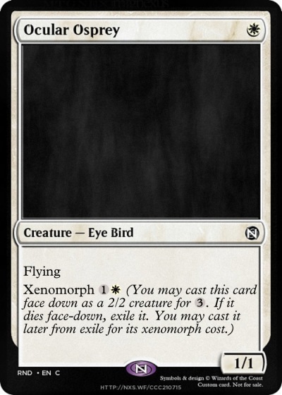 Ocular Osprey