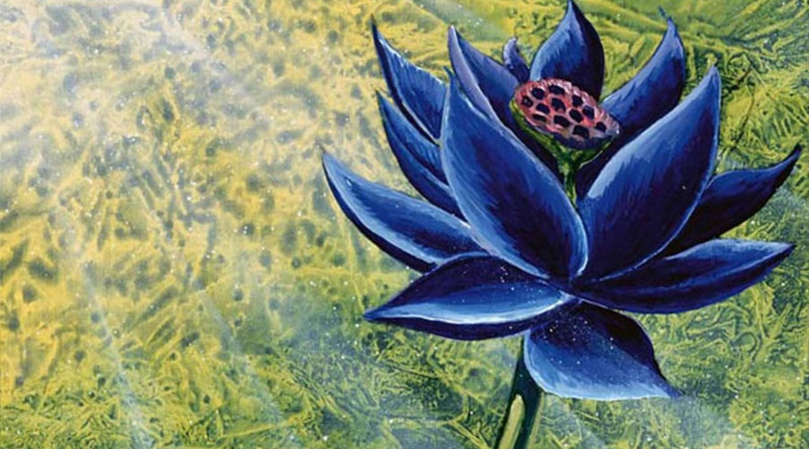 MTGNexus Black Lotus Art by Christopher Rush