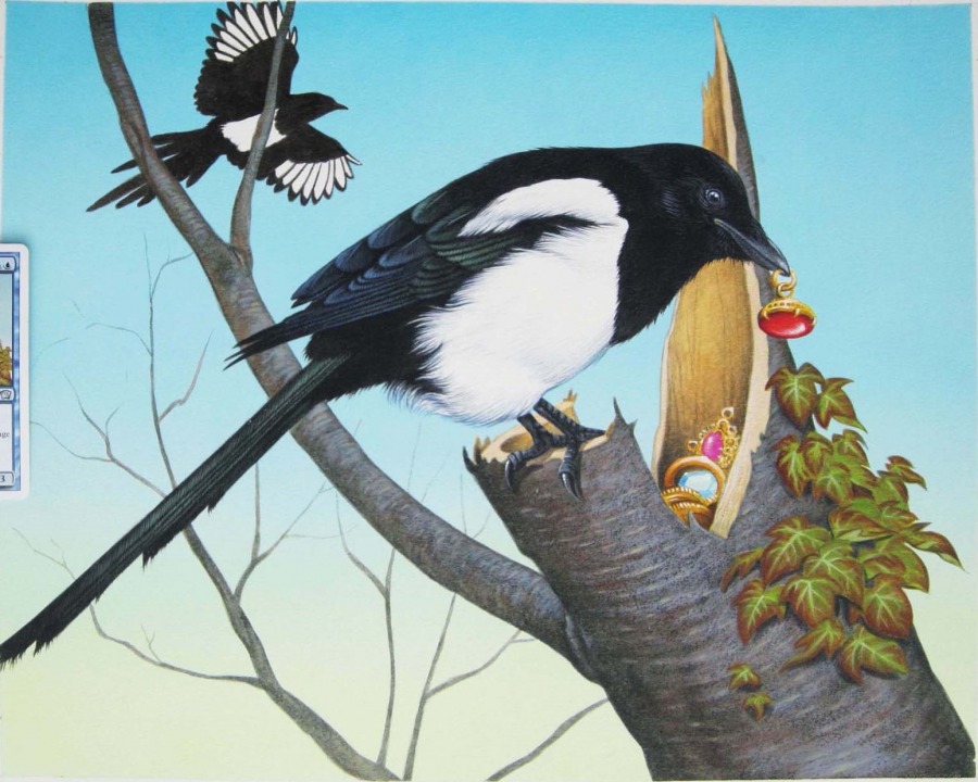 Thieving Magpie by Una Fricker