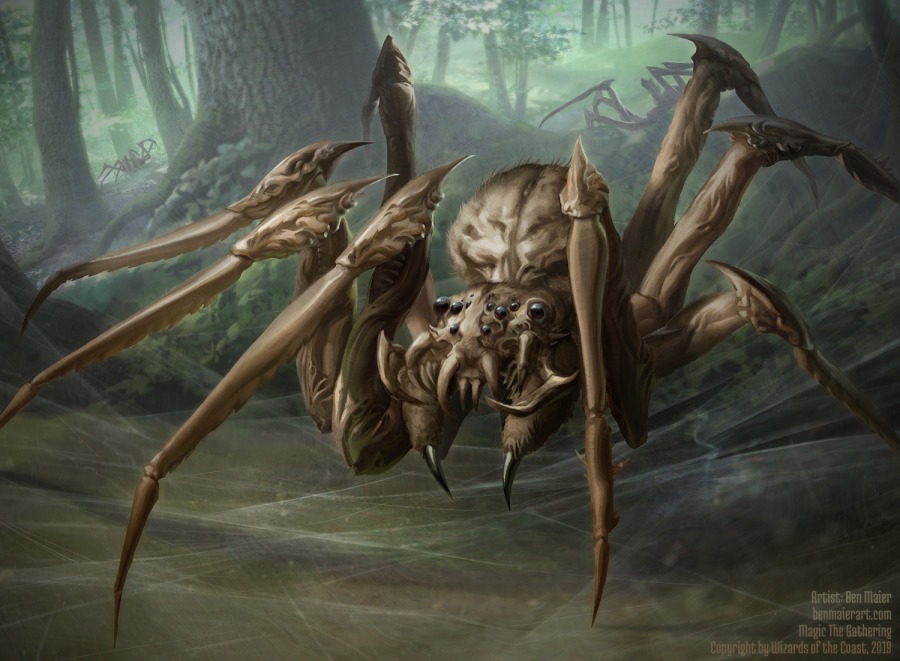 Twin-Silk Spider by Ben Maier