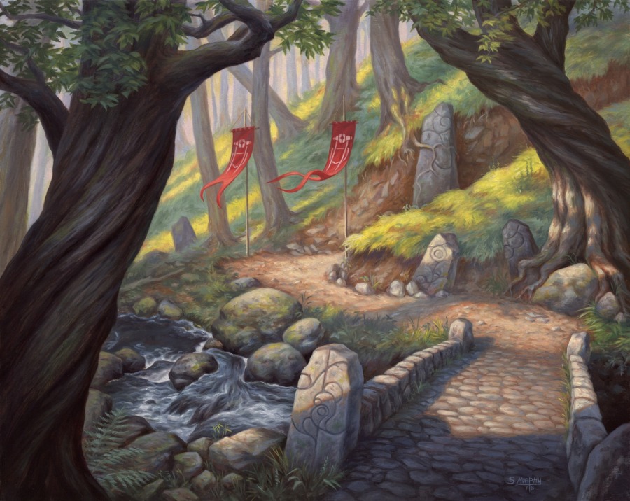 Forest by Scott Murphy