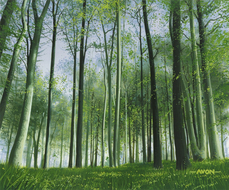 Forest by John Avon