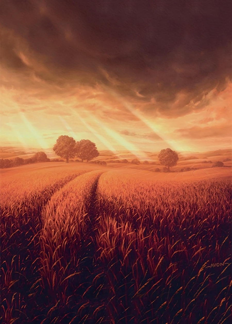 Plains by John Avon