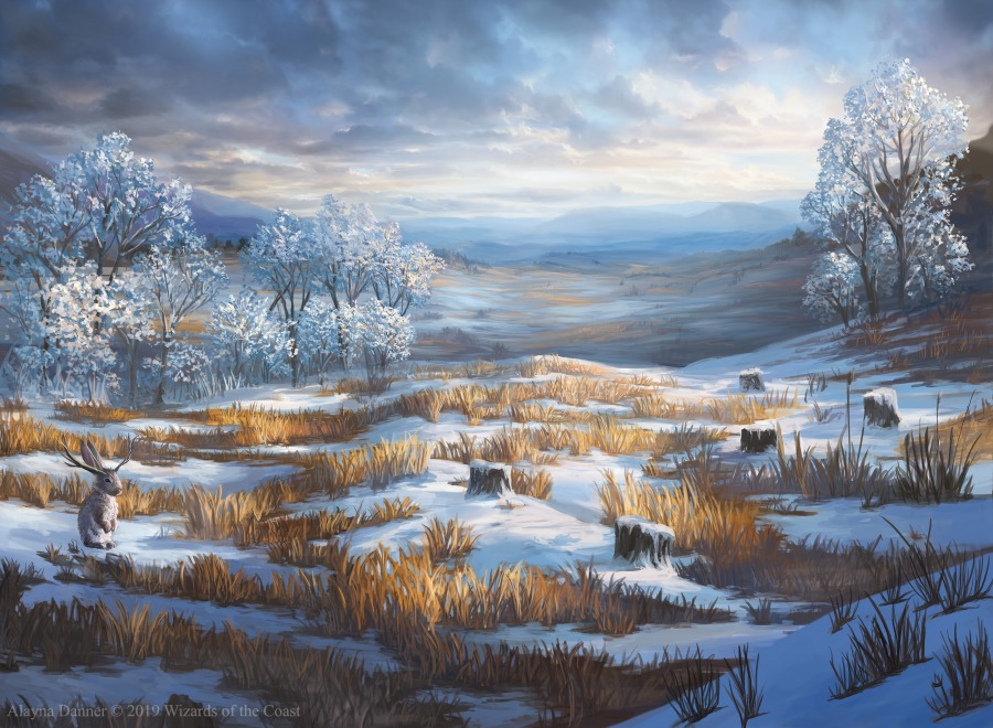 Snow Covered Plains by Alayna Danner
