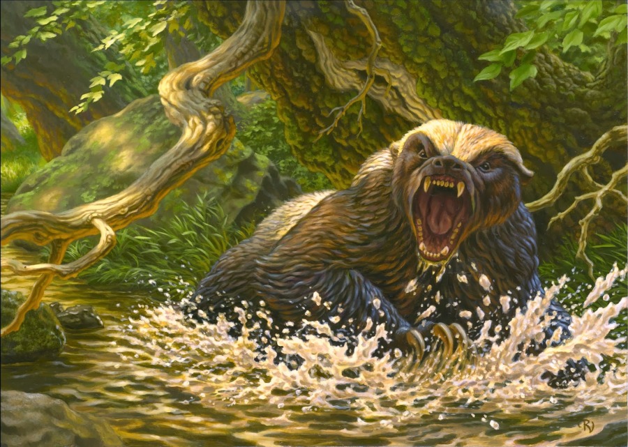 Charging Badger by Raoul Vitale