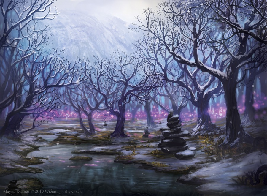 Snow Covered Swamp by Alayna Danner
