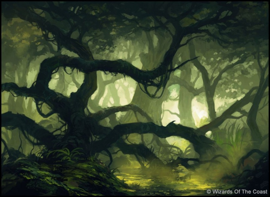 Swamp by Andreas Rocha