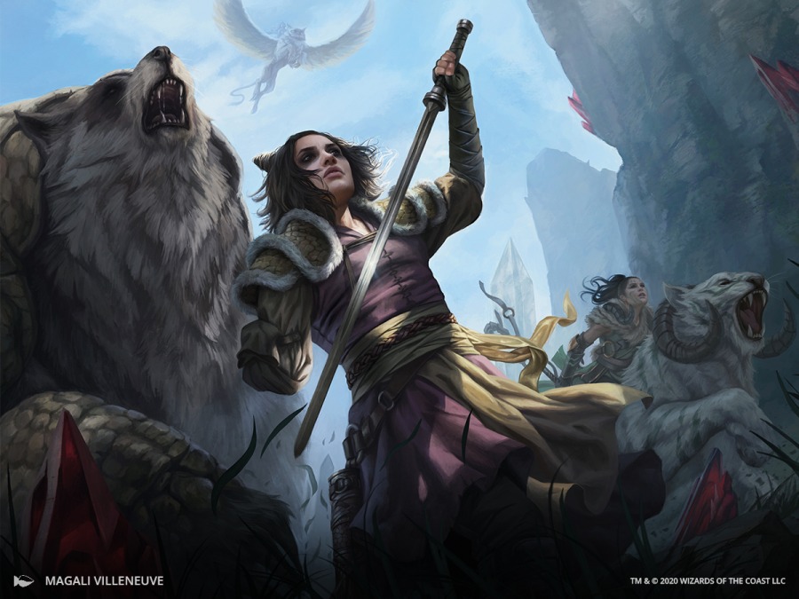 Winota, Joiner of Forces by Magali Villeneuve