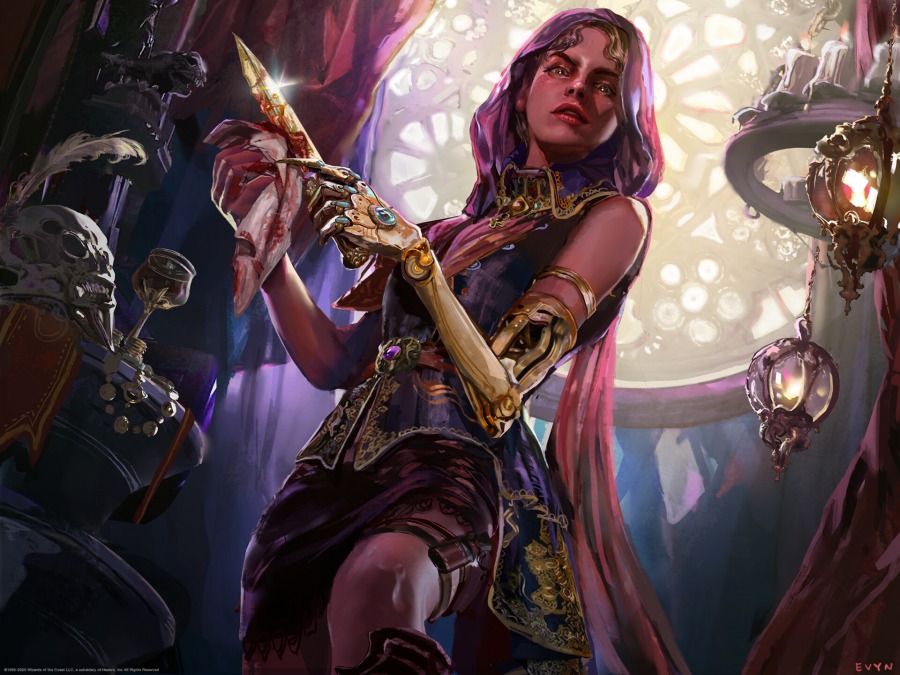 Thieves' Guild Enforcer by Evyn Fong
