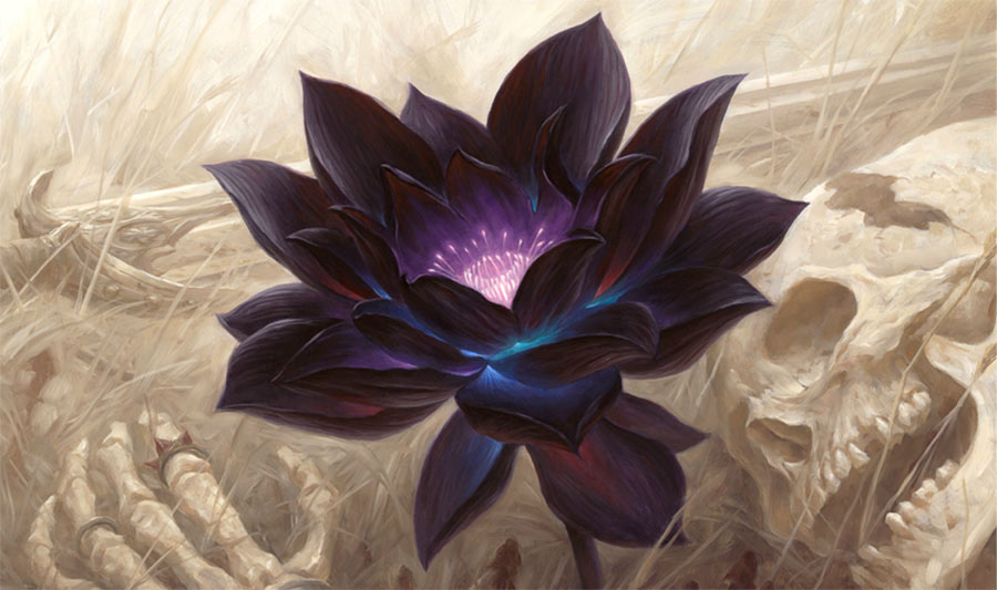 Black Lotus by Chris Rahn