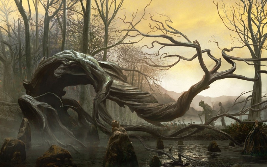Swamp by Mike Bierek