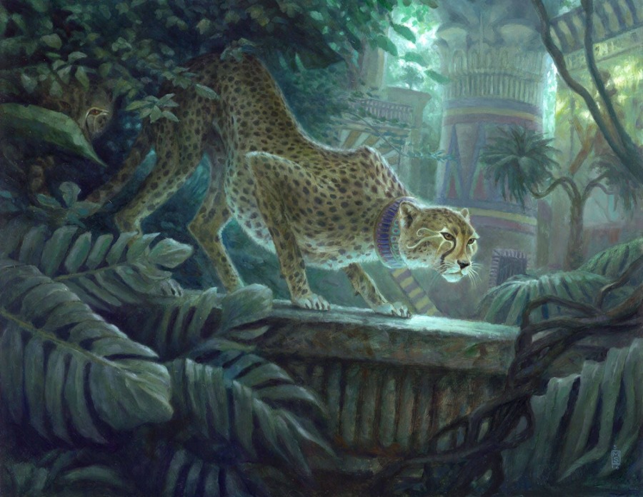 Pouncing Cheetah by Matt Stewart