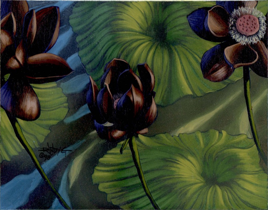 lotus blossom by Randy Gallegos