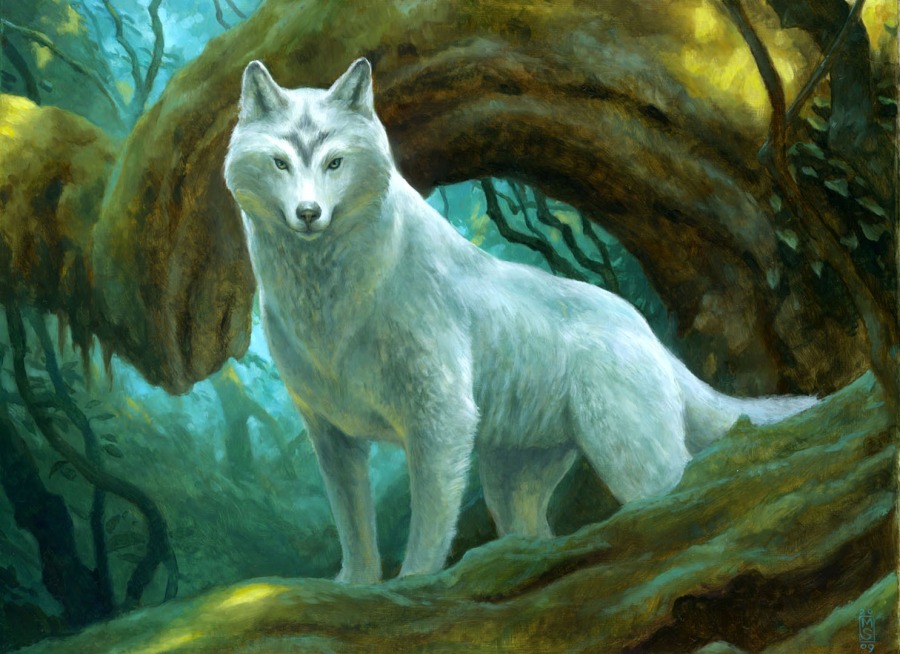 Sacred Wolf by Matt Stewart