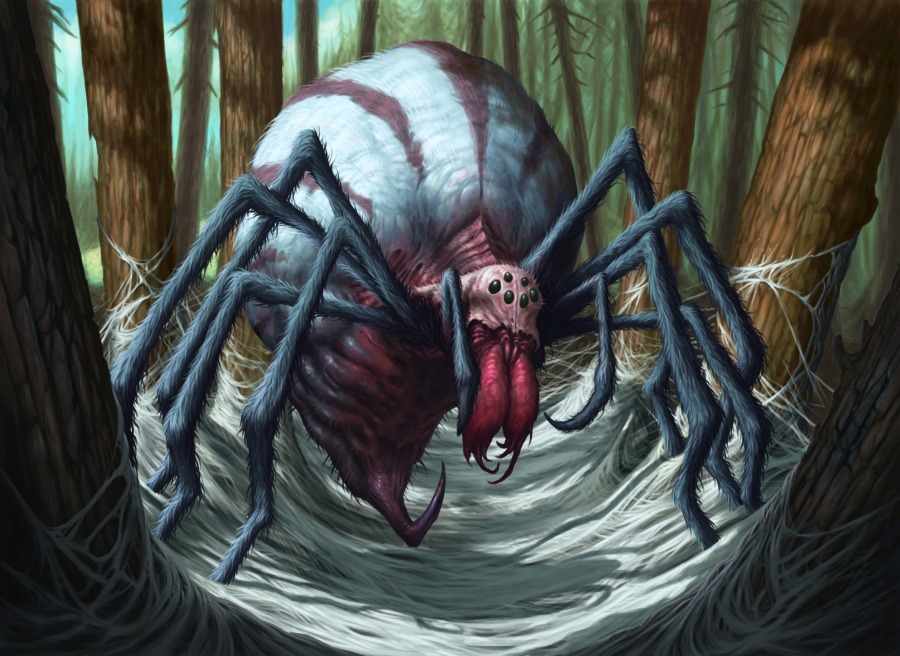 Stingerfling Spider by Dave Allsop