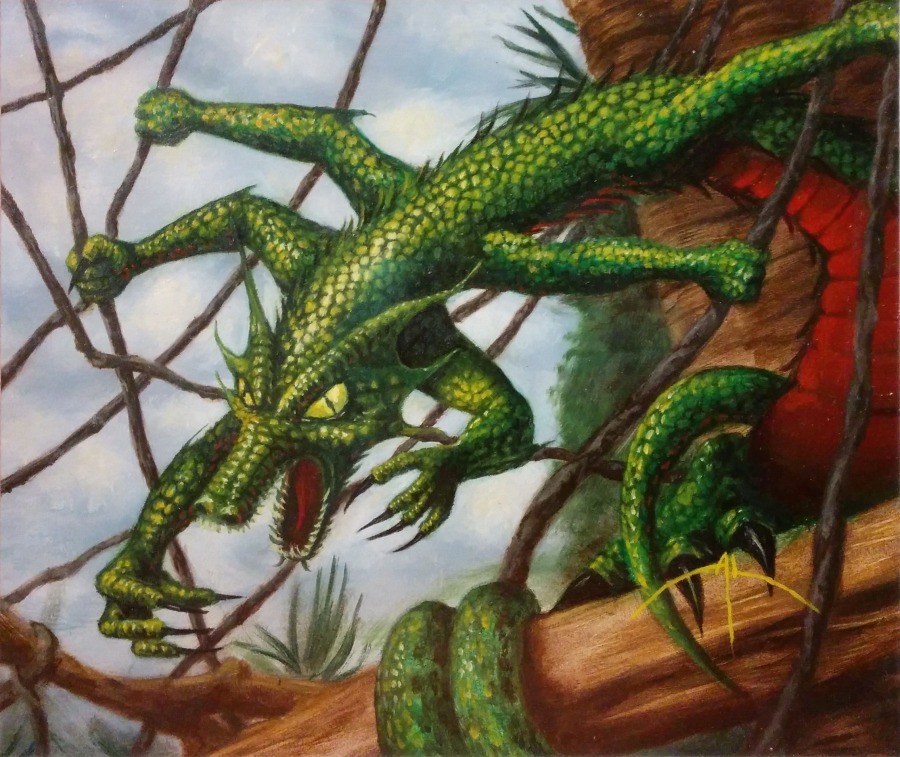 Canopy Dragon by Alan Rabinowitz