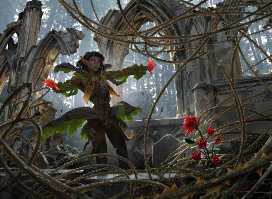 Rosethorn Acolyte // Seasonal Ritual by Johannes Voss