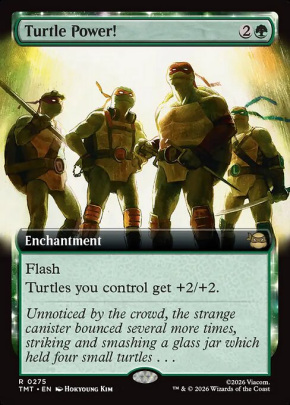Turtle Power! Turtle Power!